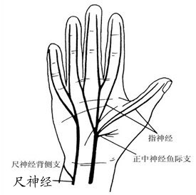 񾭷ֲͼ