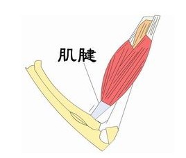 ճô