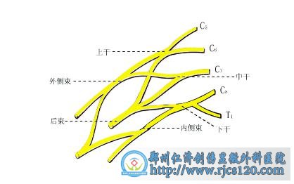 Χ˸оϰô