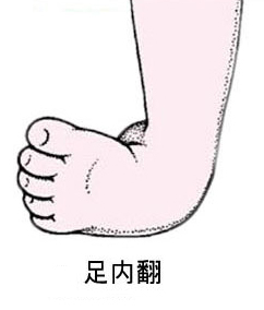 ڷ֢״